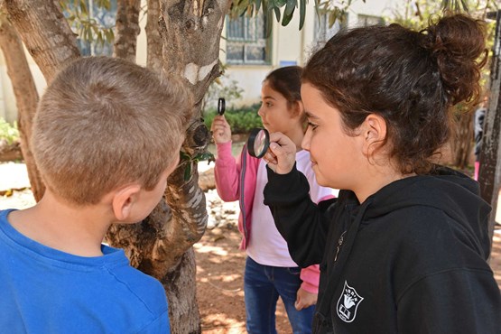 חוקרים ומגלים בגן אקולוגי 